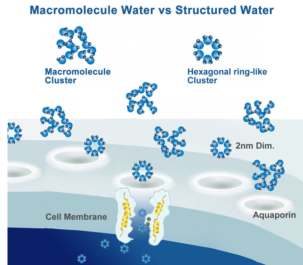 AquaHex hexagnol water